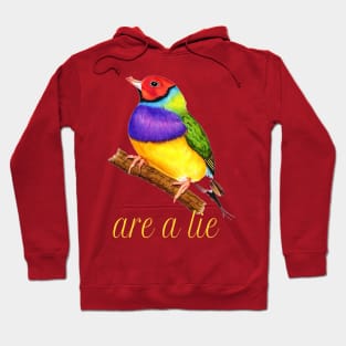 ARE A LIE Hoodie